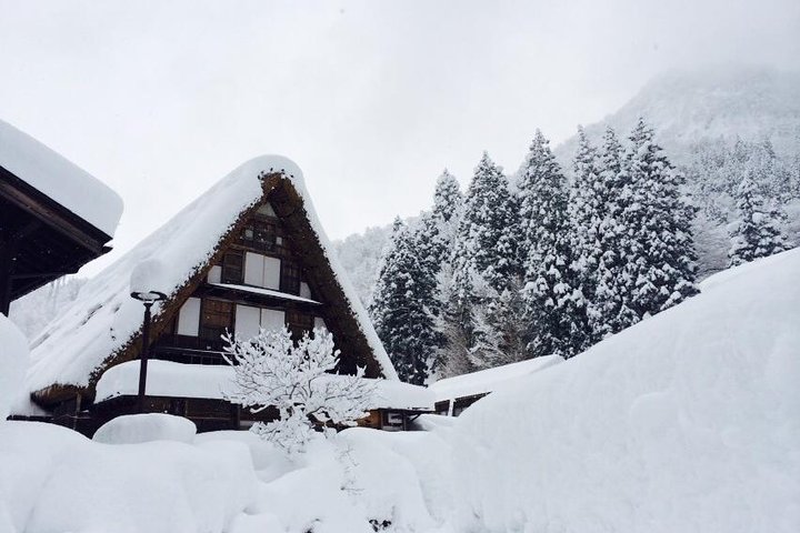 [En-dags bustur med afgang fra Kanazawa Station] Shirakawa-go og Gokayama, to verdensarvslandsbyer bustur