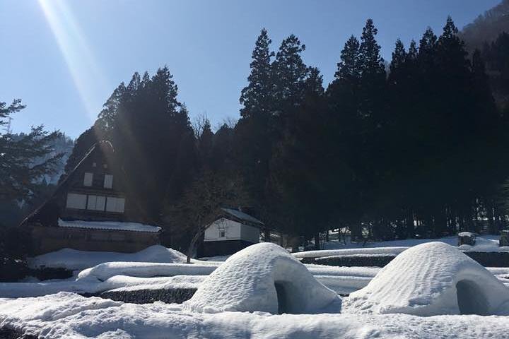 [En-dags bustur med afgang fra Kanazawa Station] Shirakawa-go og Gokayama, to verdensarvslandsbyer bustur