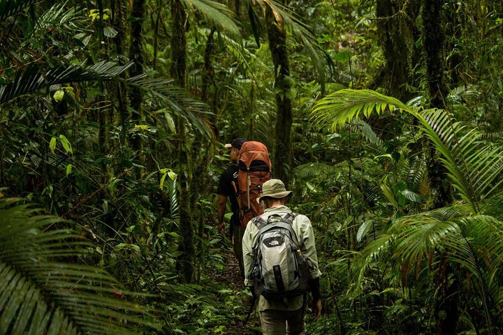 Tour privato del Parco Nazionale Sulawesi Tangkoko