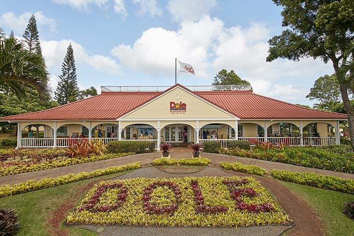 Oahu : Excursion d'une journée complète ou d'une demi-journée sur l'île du Grand Cercle