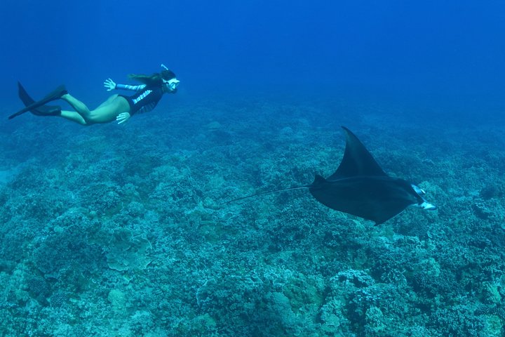 Maui Snorkling äventyr Från Ma'alaea hamnen till Molokini