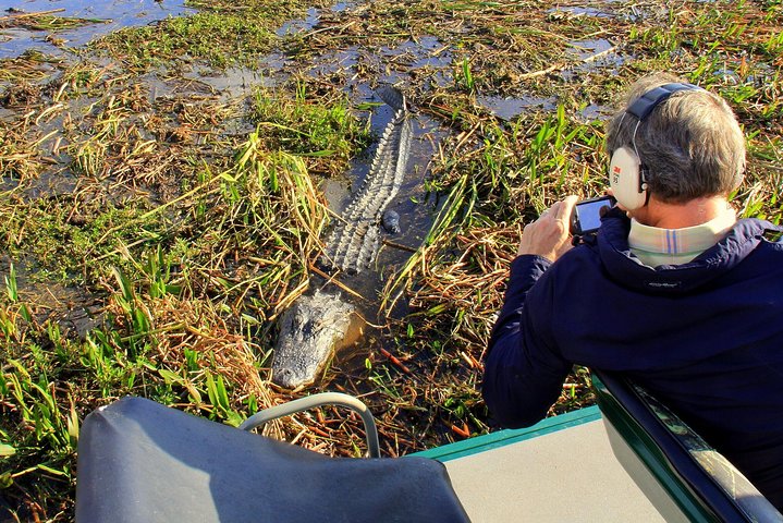 Luftbåtstur i Florida Everglades och inträde till Wild Florida med lunch som tillval