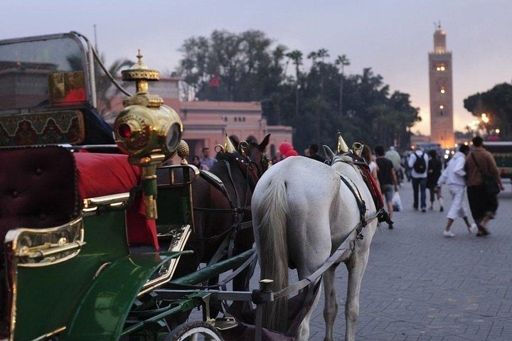 Excursão de um dia em Marrakech a partir de Agadir: Medina & Souks Tour
