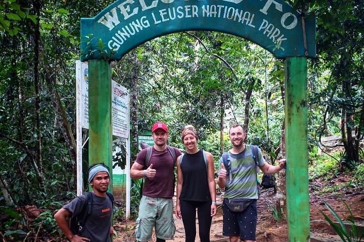 Excursion privée d'une journée complète en trekking Bukit Lawang au départ de Medan