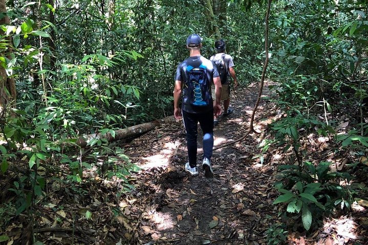 Excursion privée d'une journée complète en trekking Bukit Lawang au départ de Medan