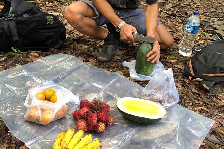 Excursion privée d'une journée complète en trekking Bukit Lawang au départ de Medan