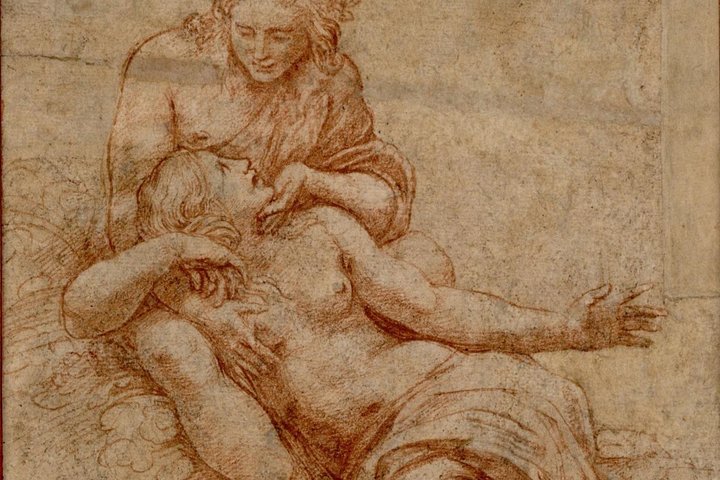 Palazzo Te, Mântua - Tour com Guia Tiziana Portioli