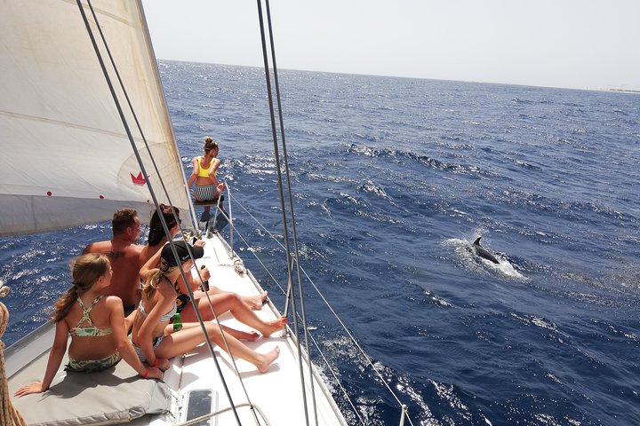 Journée complète Voilier - Belle journée sur l'Océan Atlantique