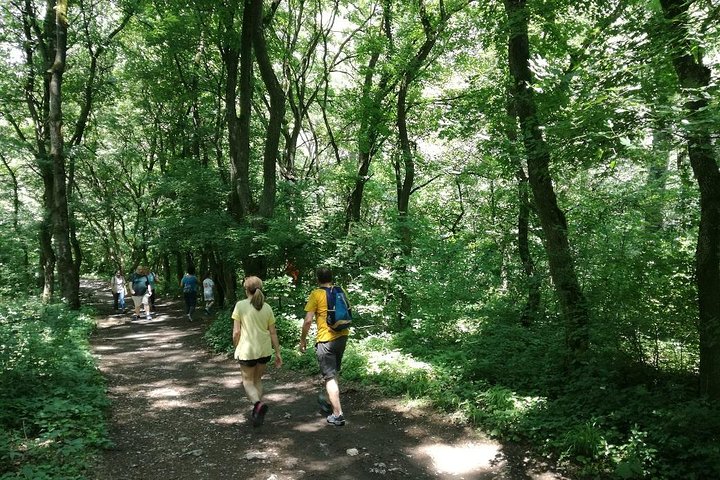 Dagtocht Turda (nationaal park Saltmine and Gorge) + Rimetea Village