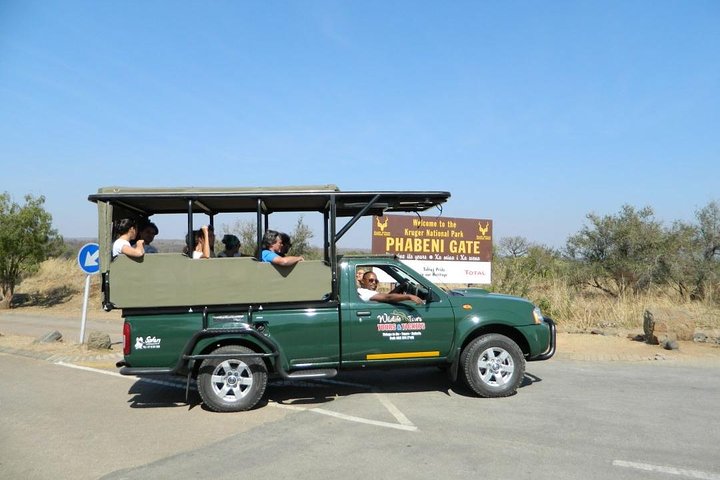 Tour safari guidato condiviso di un'intera giornata Visita al Parco nazionale Kruger
