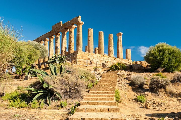 Agrigento Valley of the Temples Privat arkeologisk guidet tur