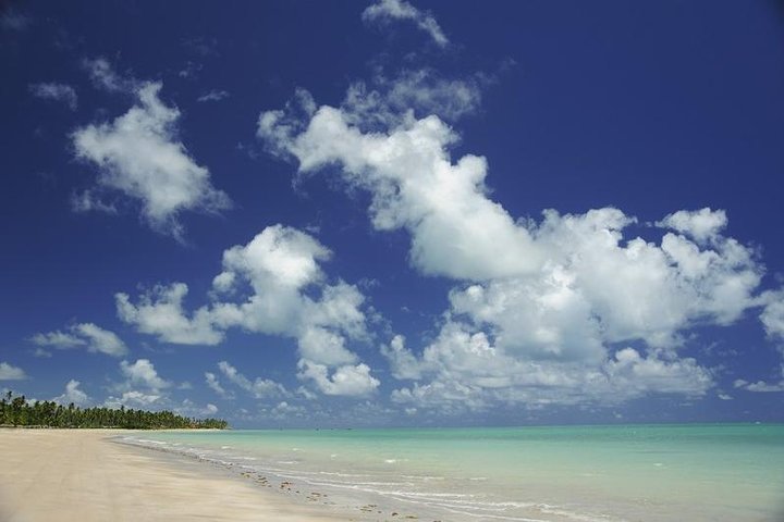Privater Transfer von Recife nach Maragogi von 01 bis 06 Pax durch Geotur Receptives