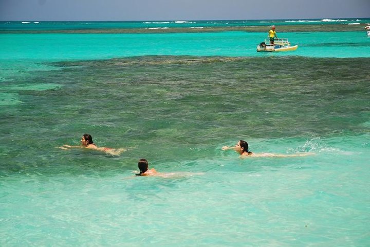 Privater Transfer von Recife nach Maragogi von 01 bis 06 Pax durch Geotur Receptives