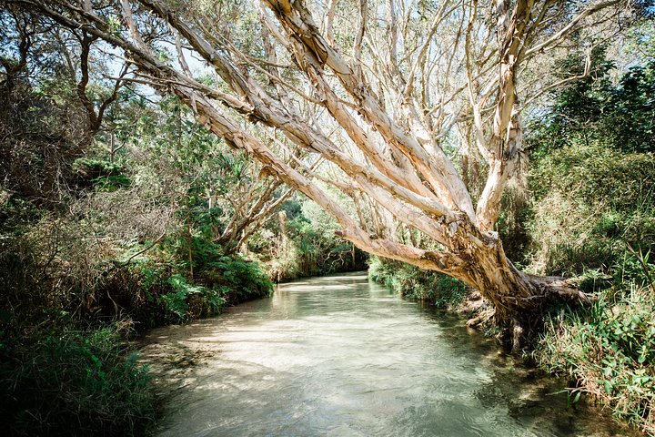K'gari (Fraser Island) Excursão de um dia com tudo incluído