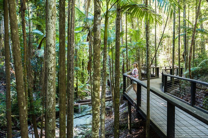 K'gari (Fraser Island) Excursão de um dia com tudo incluído
