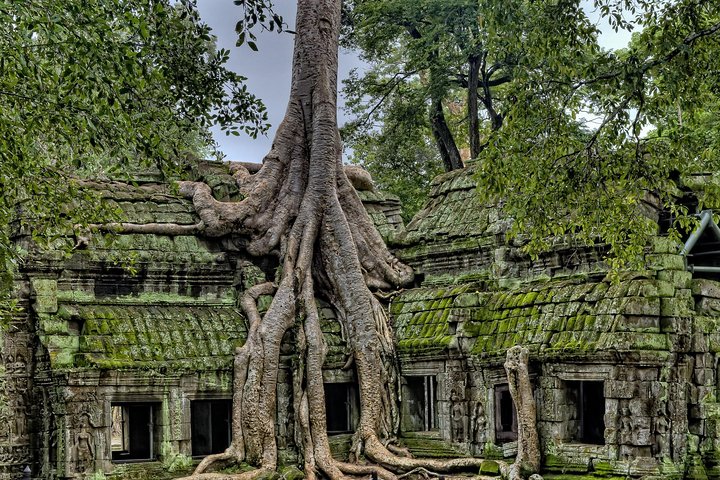 Private Temples Guided Tour (Angkor Wat, Ta Prom & Angkor Thom)