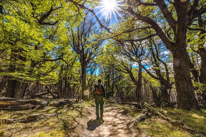 El Chaltén with Trekking from El Calafate