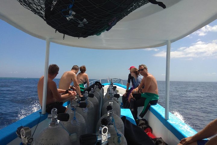 Gita in barca di un'intera giornata allo snorkeling dell'isola di Menjangan