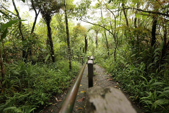 Trekking privado Sulawesi Monte Mahawu y Lokon desde Manado