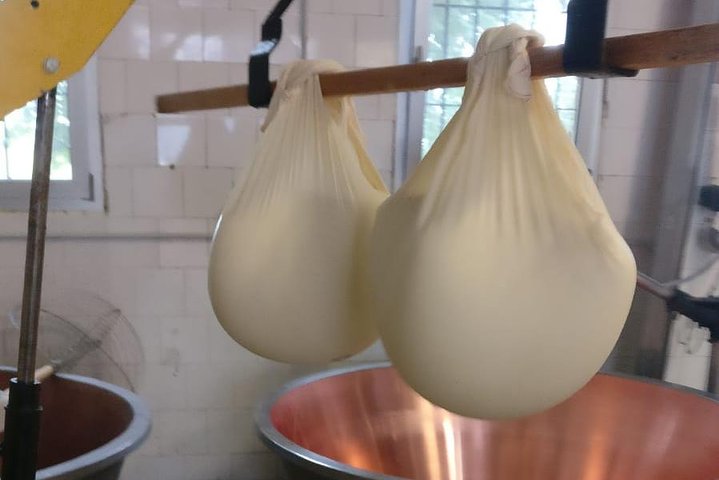 Tour Laticínios Parmigiano Reggiano e Presunto de Parma