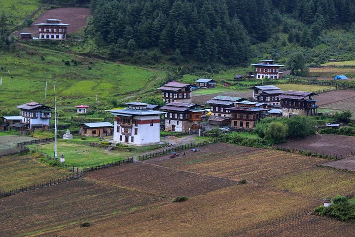 Oppdag Bhutan på 7 dager | Privat kultur- og naturopplevelse