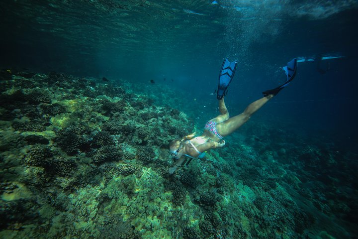 Maui Snorkling äventyr Från Ma'alaea hamnen till Molokini