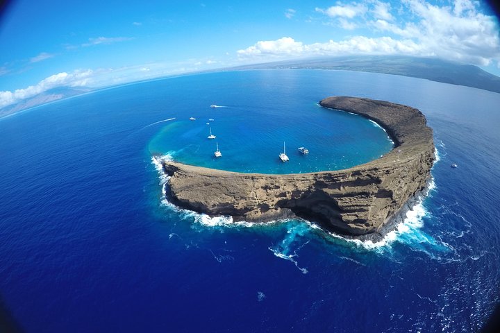 Maui Snorkling äventyr Från Ma'alaea hamnen till Molokini