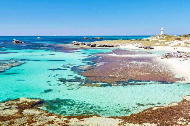 Rottnest Island all-inclusive Grand Island-tur fra Perth