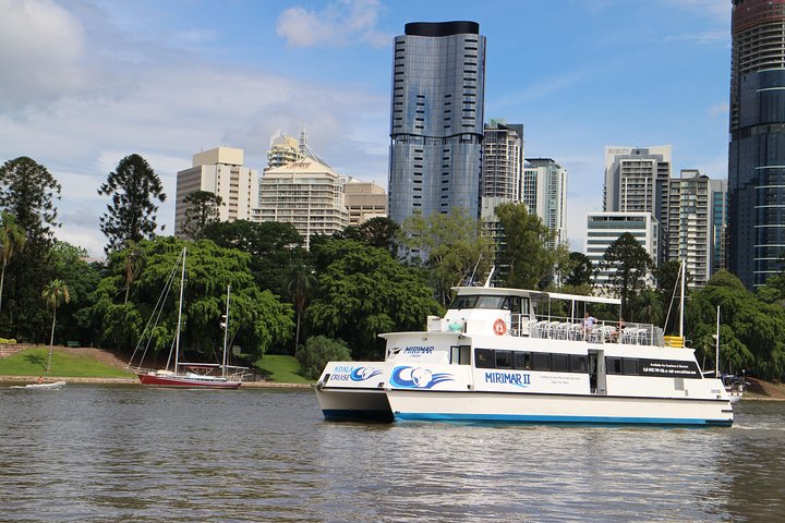 Croisière sur la rivière Brisbane avec entrée au sanctuaire Lone Pine Koala