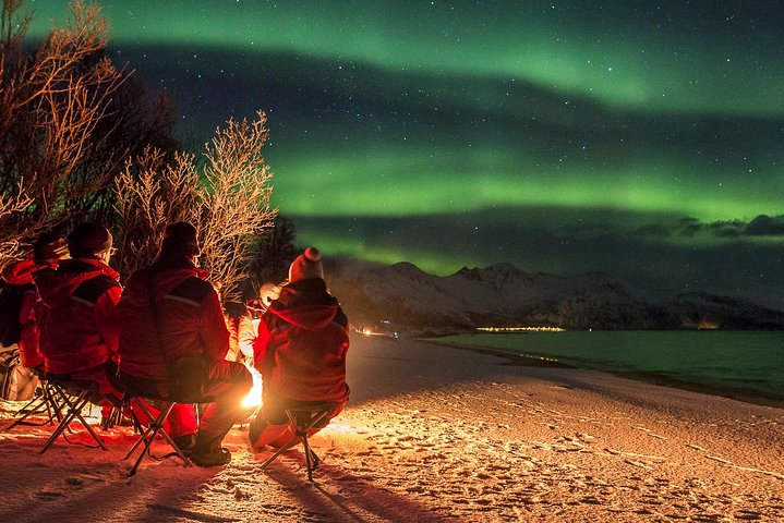 Tromsø Northern Lights Chase We Go Where The Lights Appear