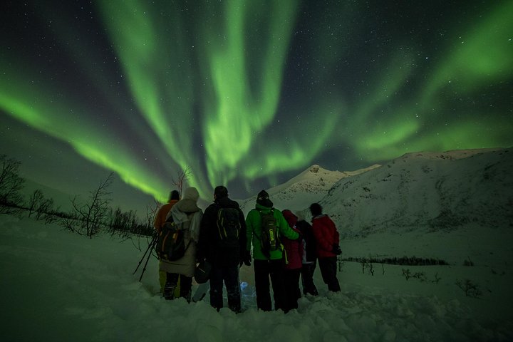 Tromsø Northern Lights Chase We Go Where The Lights Appear