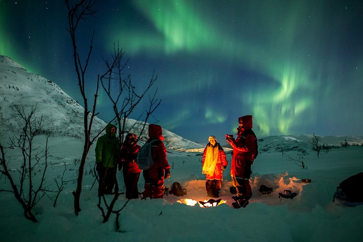 Tromsø Northern Lights Chase We Go Where The Lights Appear