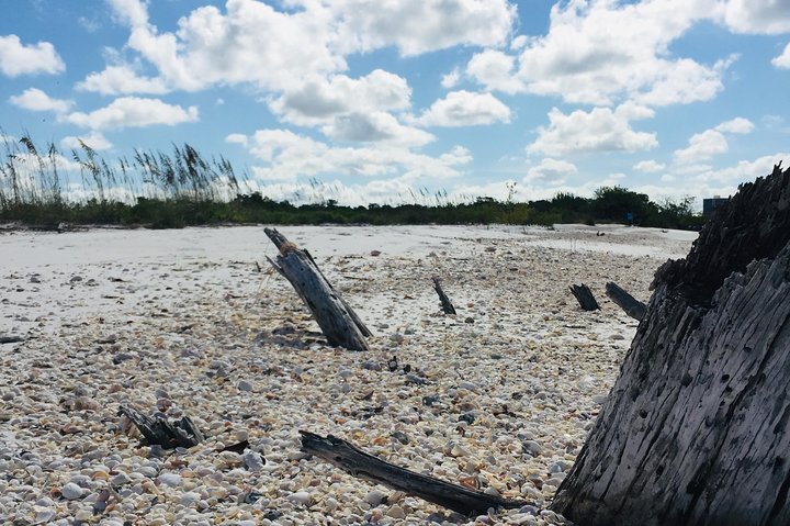 Shelling Tours - Fort Myers Beach / Naples