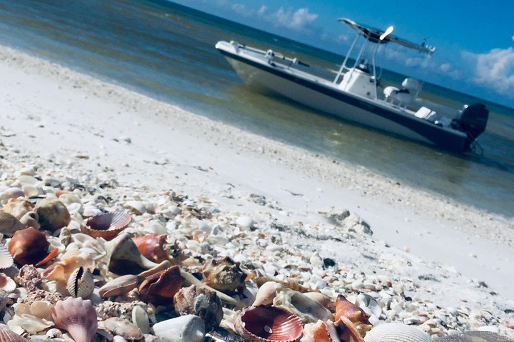 Shelling Tours - Fort Myers Beach / Naples