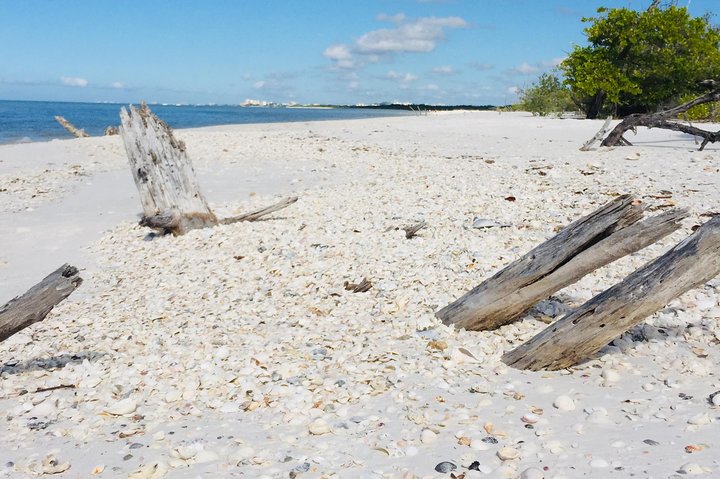Shelling Tours - Fort Myers Beach / Naples