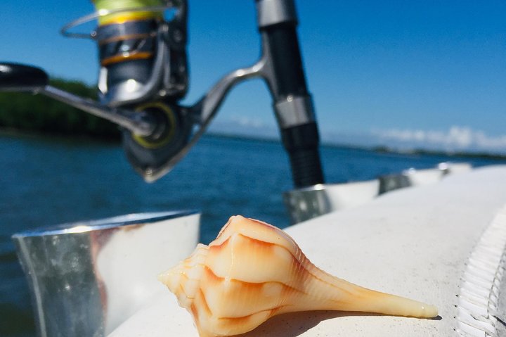 Shelling Tours - Fort Myers Beach / Naples