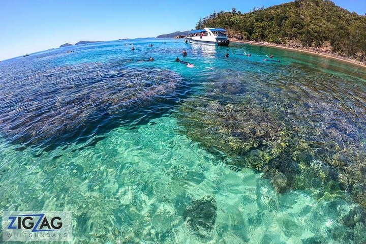 Snorkel & Whitehaven Beach Eco Cruise, Lunch | Från Airlie Beach