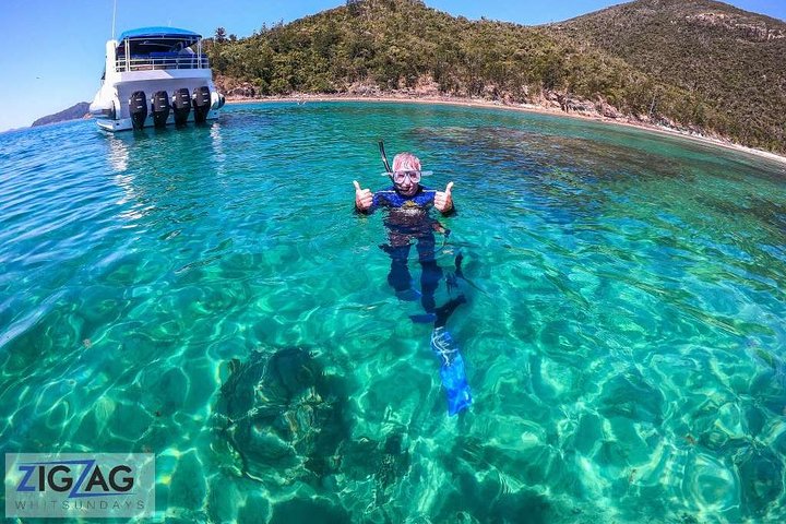 Snorkel & Whitehaven Beach Eco Cruise, Lunch | Från Airlie Beach