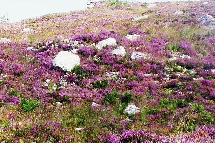 Excursão de bicicleta elétrica guiada de locais históricos no Burren Co Clare