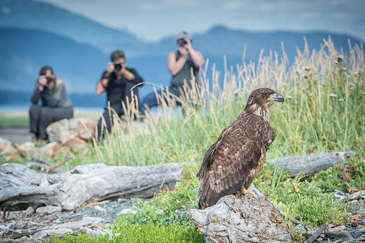 Foco na excursão privada pela natureza / fotografia de Haines