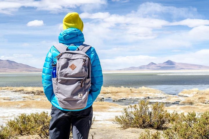 Il meglio di Atacama per 4 giorni: Moon Valley, Tatio Geyser e Altiplanic Lagoons