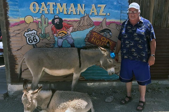 Oatman Mining Camp & Burros : Visite historique de la Route 66 au départ de Laughlin