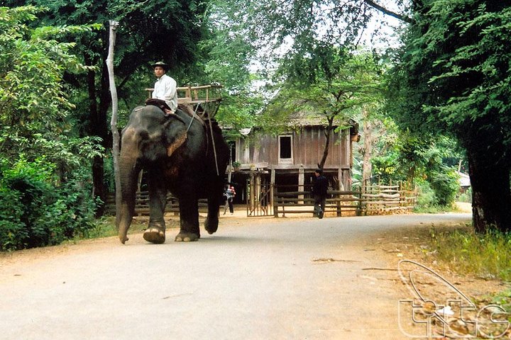 Easy Riders Buon Ma Thuot - Visite quotidienne.