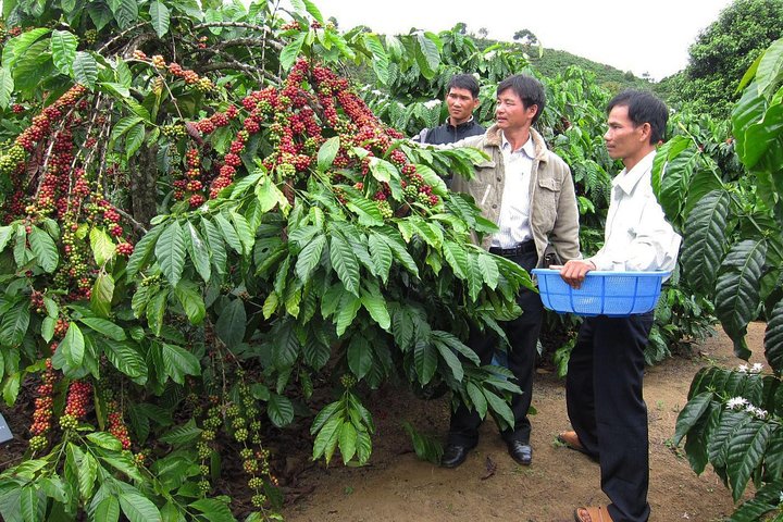 Easy Riders Buon Ma Thuot - Visite quotidienne.
