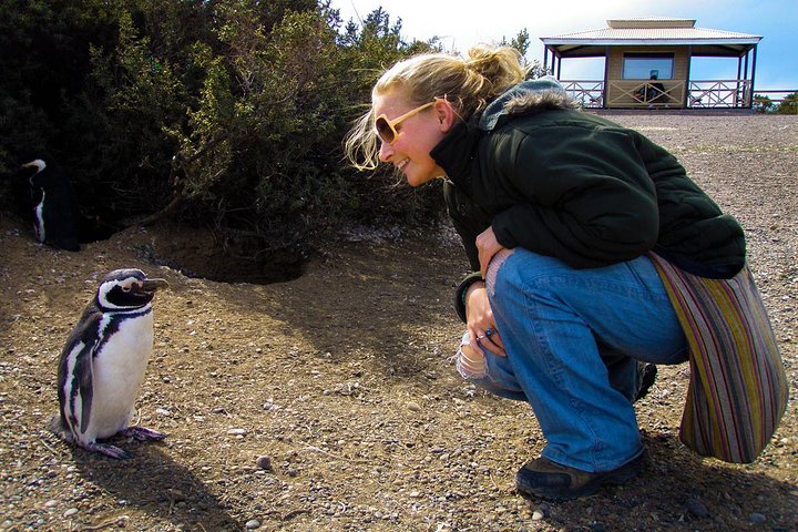 Excursión en crucero por la costa Punta Tombo con Boxlunch desde Pto Madryn
