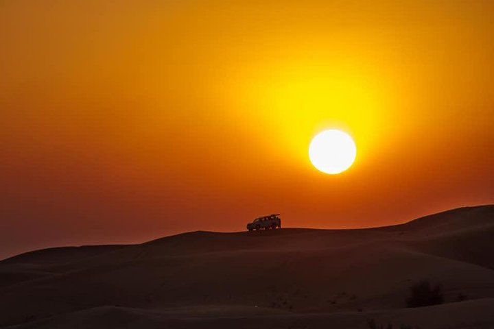 Doha Night Desert Safari: Dune Bashing, Camel Ride & Stargazing