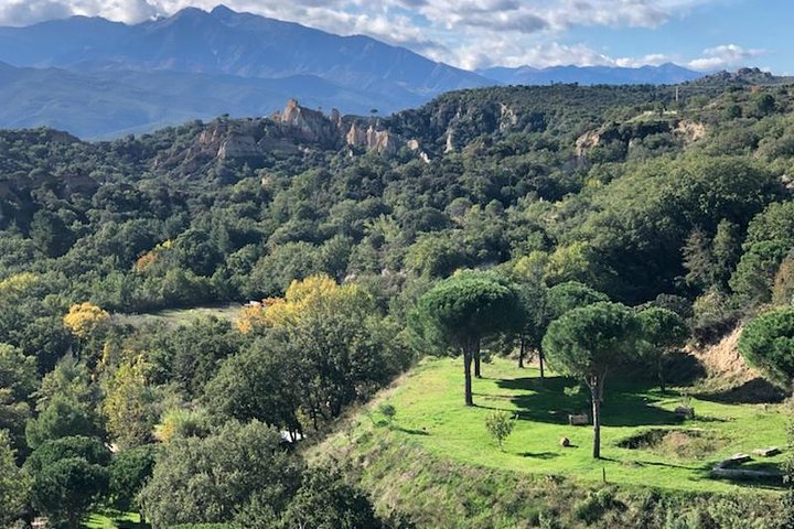 Scoperta degli Organi: esplorazione, fauna, flora, geologia
