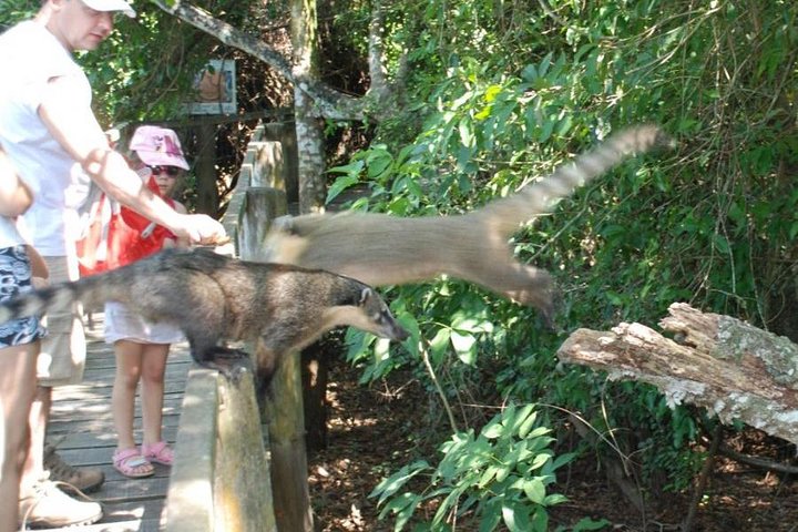 Pantanal-Tagesausflug - All Inclusive - Campo Grande verlassen