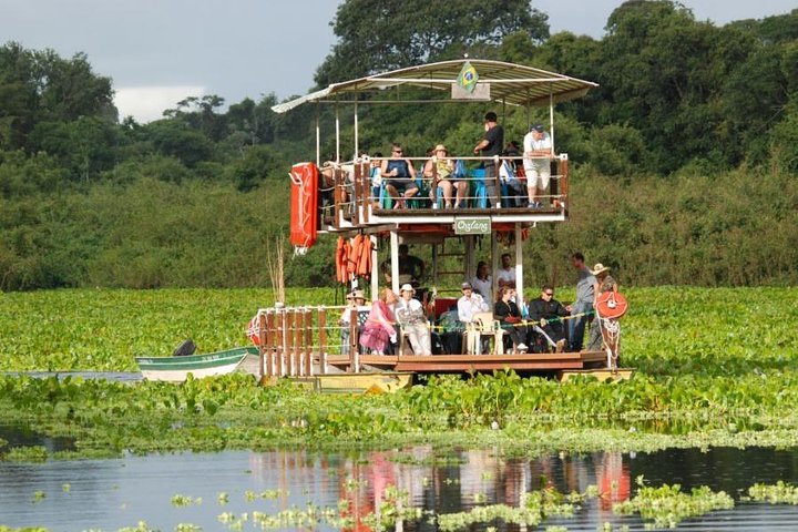 Pantanal-Tagesausflug - All Inclusive - Campo Grande verlassen
