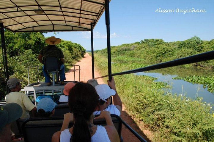 Pantanal-Tagesausflug - All Inclusive - Campo Grande verlassen